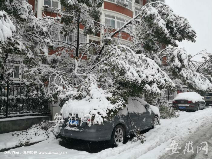 天降大雪万物寒,瑞联保温暖人心