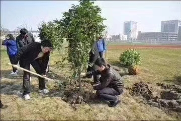 春风又绿江南岸,瑞联节能种树忙  第3张